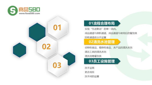 餐饮业食品安全管理体系图解指南 PPT核心要点与实用框架